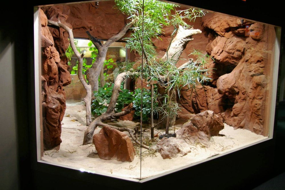 Фон для террариума Hagen EXO-Terra background Rock