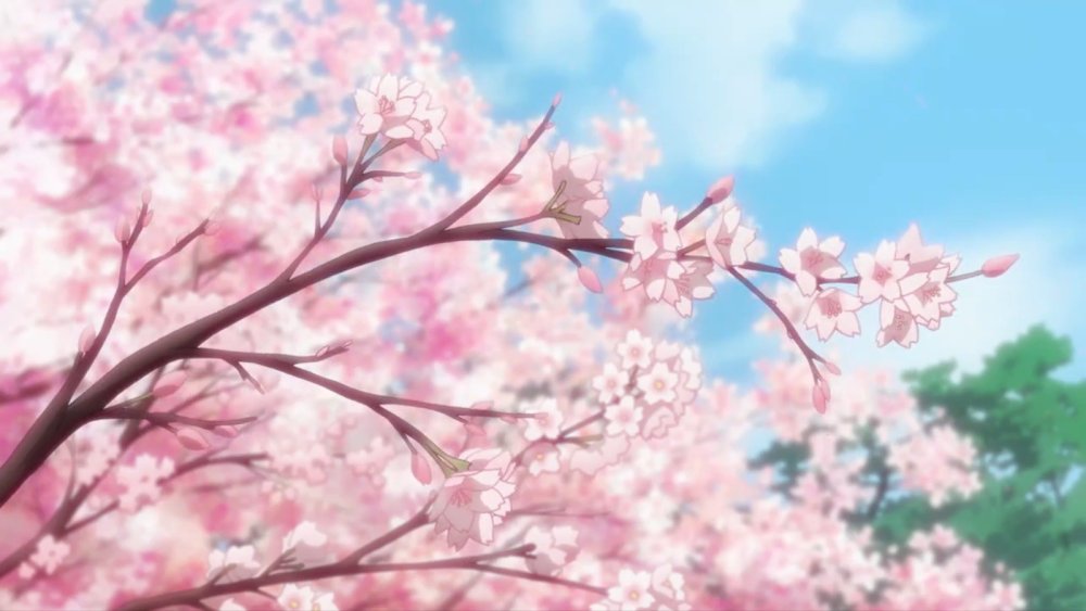 Сакура Геншин