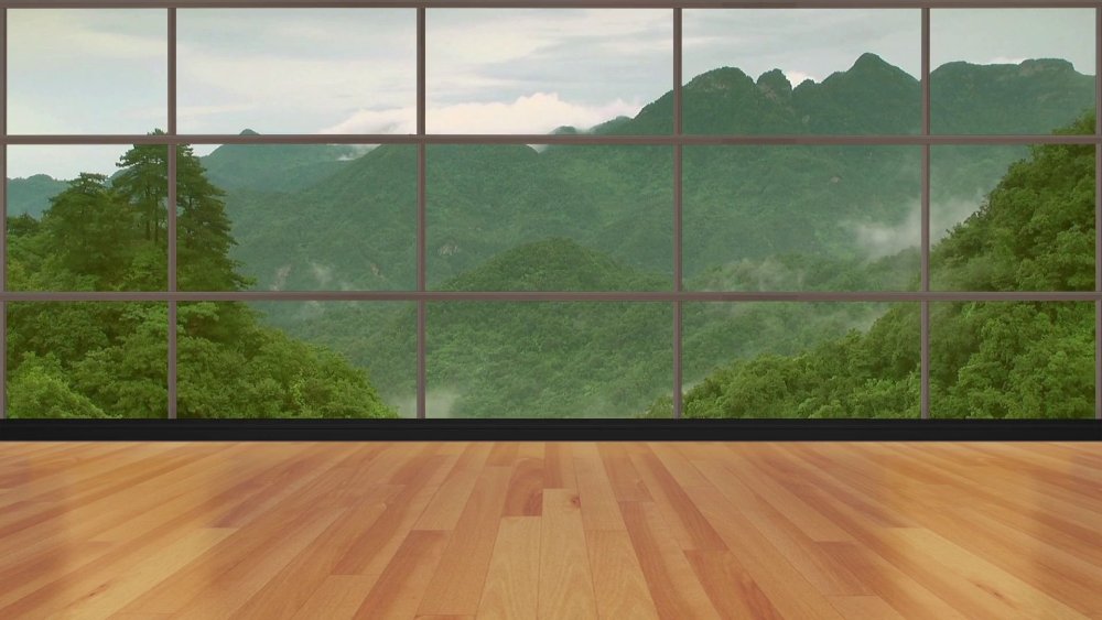 Виртуальный фон вид за окном