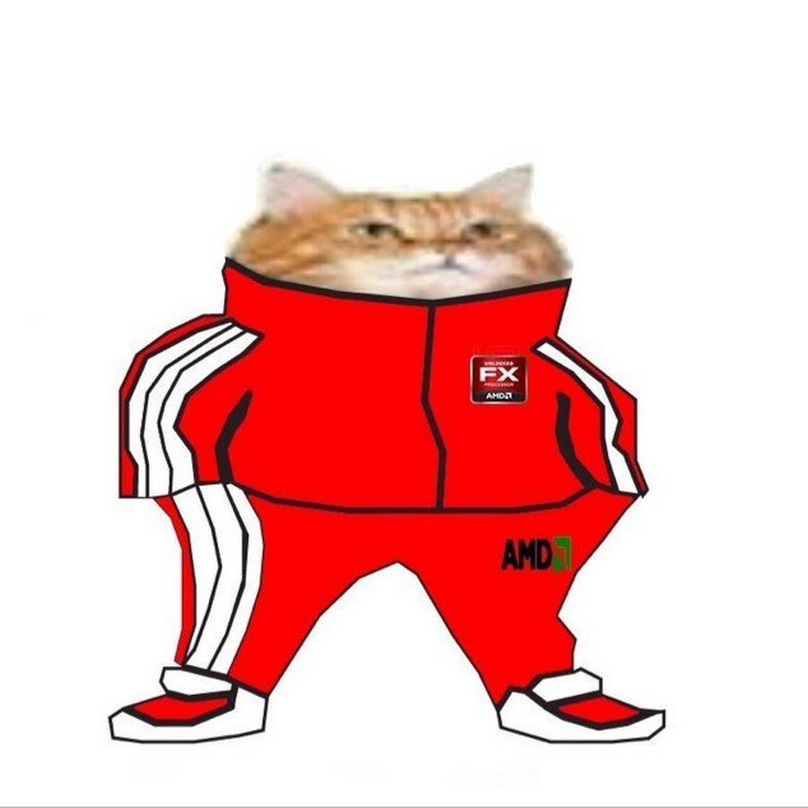 Кот в костюме адидас