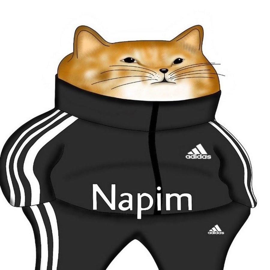 Кот в костюме гопника