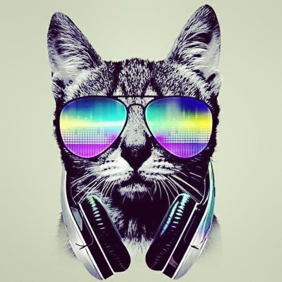 Кот в очках и наушниках