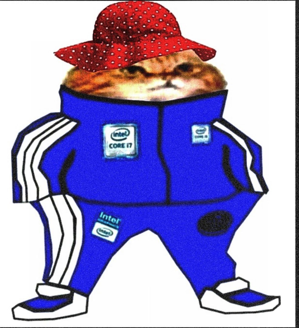 Розовые обои с котиками