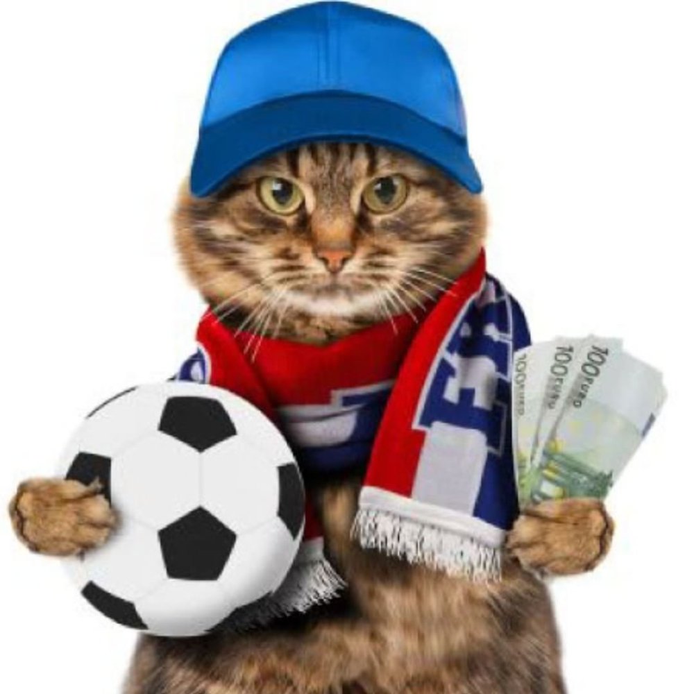 Кошечка Минимализм