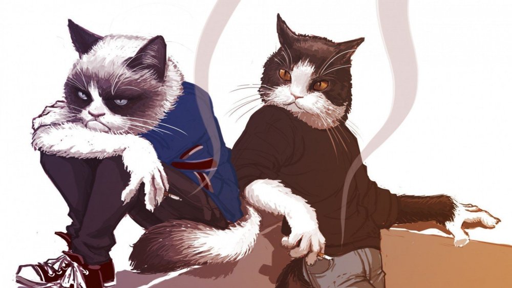 Крутые коты арт