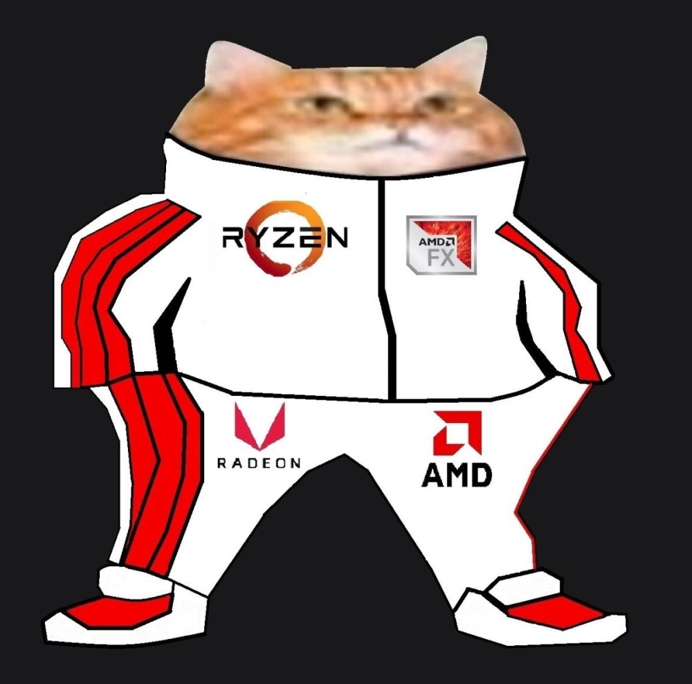 Котик гопник в адидасе