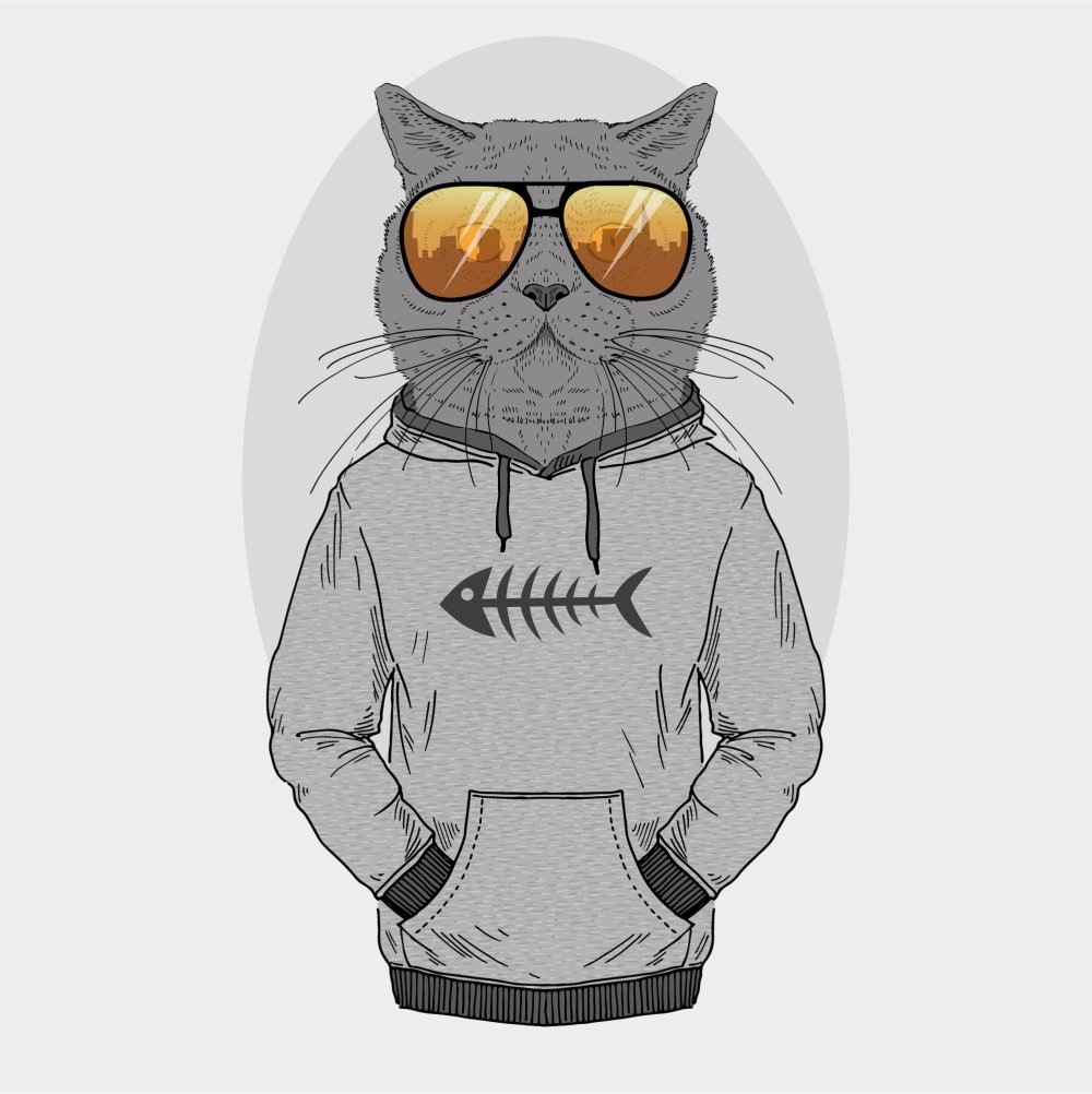 Мультяшные котики в одежде