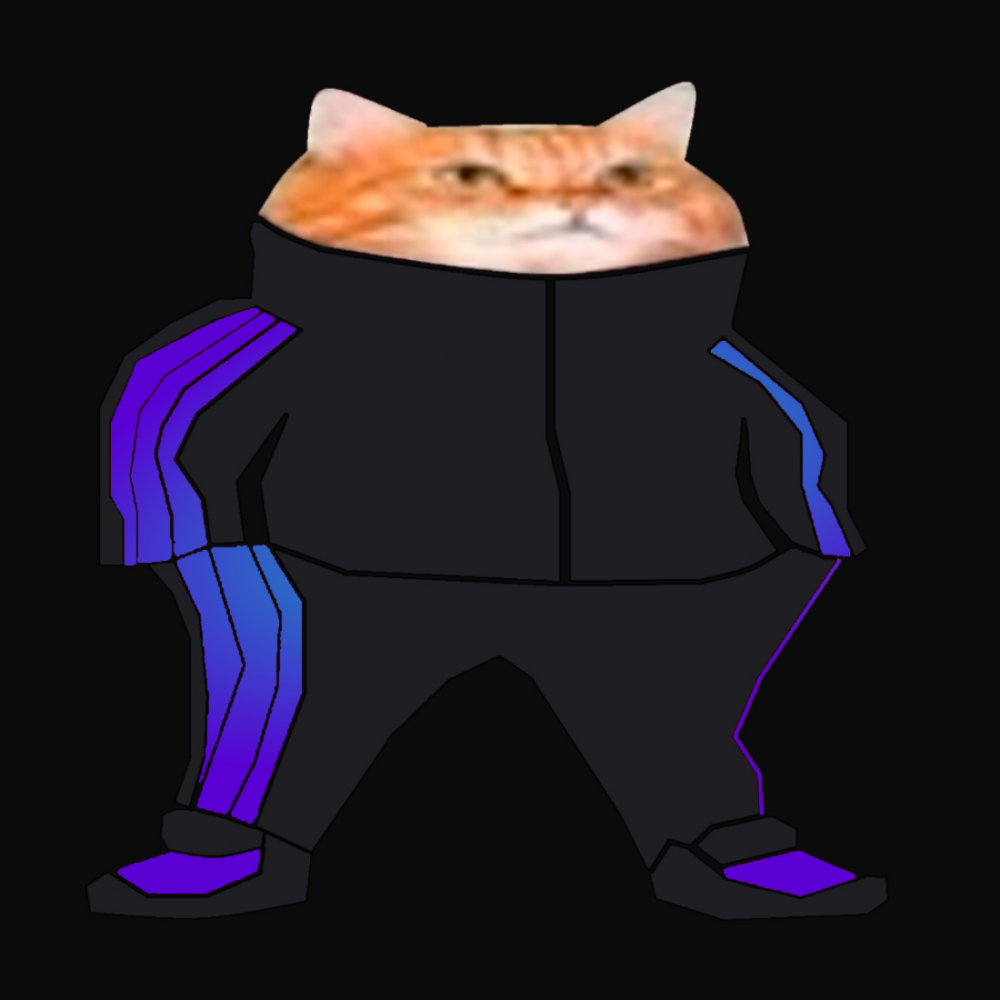 Котик в спортивном костюме