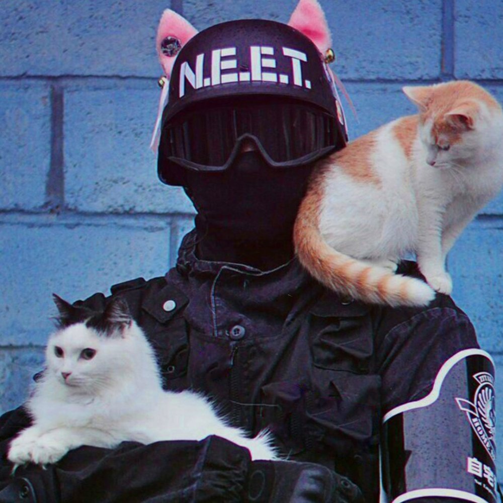 Коты Эстетика розовый