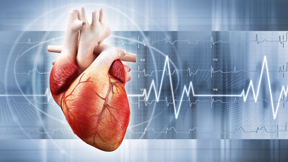 Сердце медицина