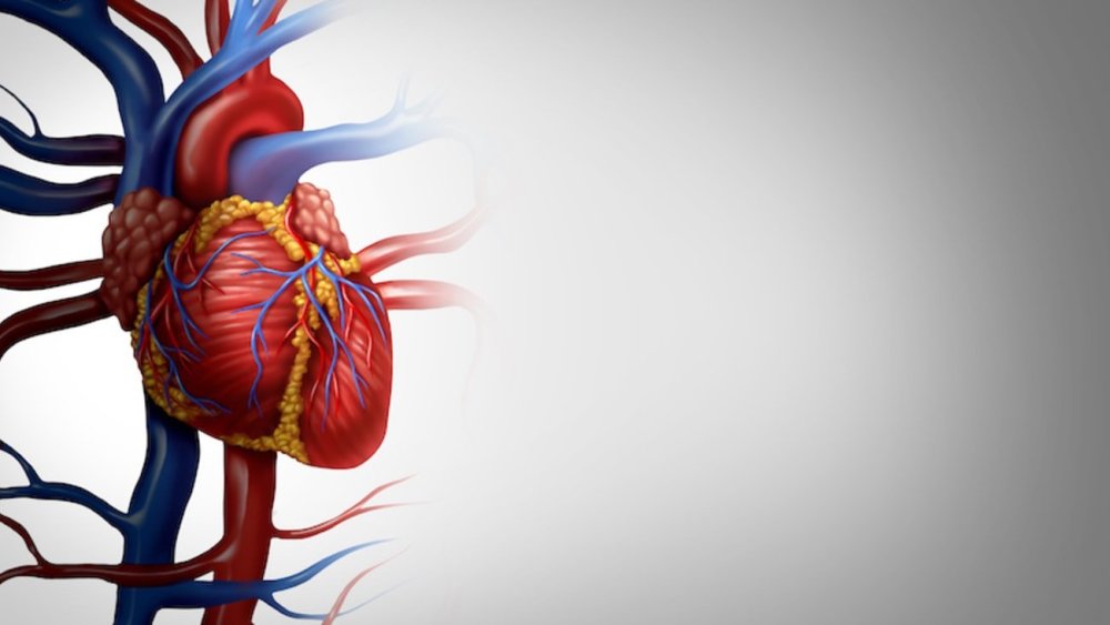 Медицинские шаблоны