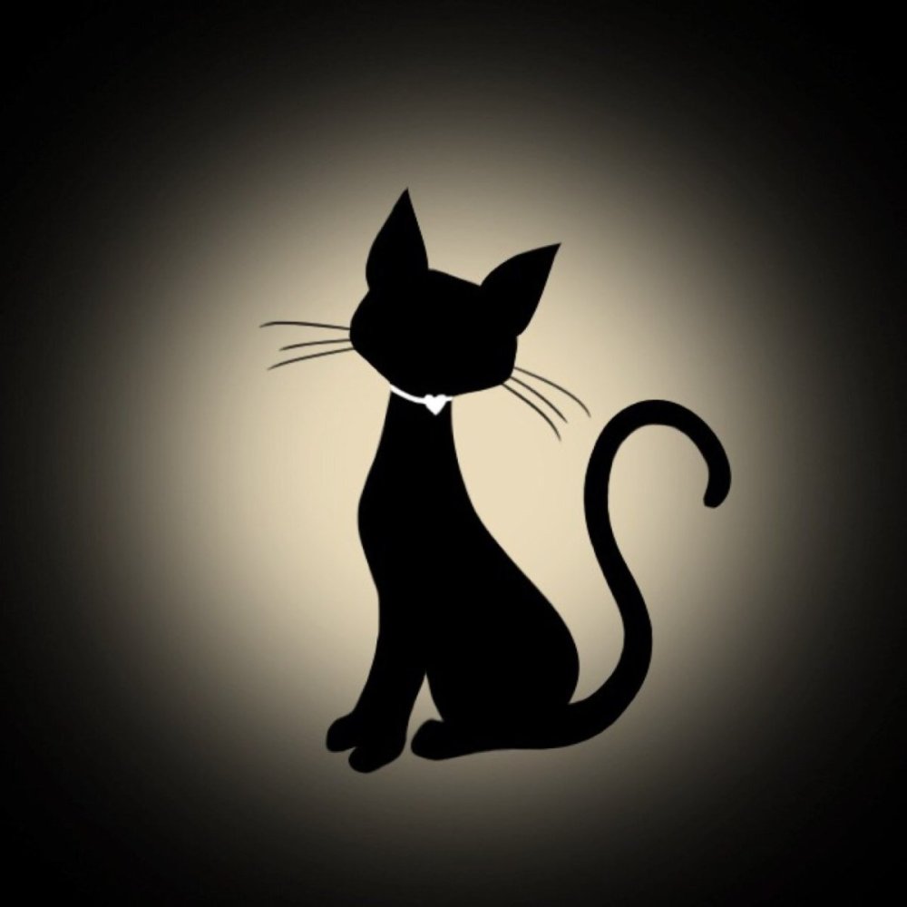 Черная кошка силуэт
