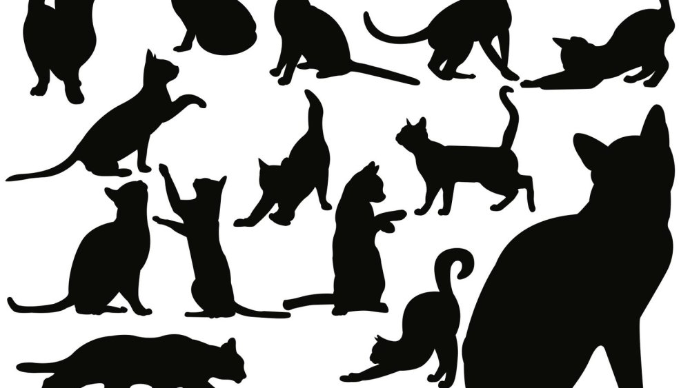 Силуэты кошек с бантами