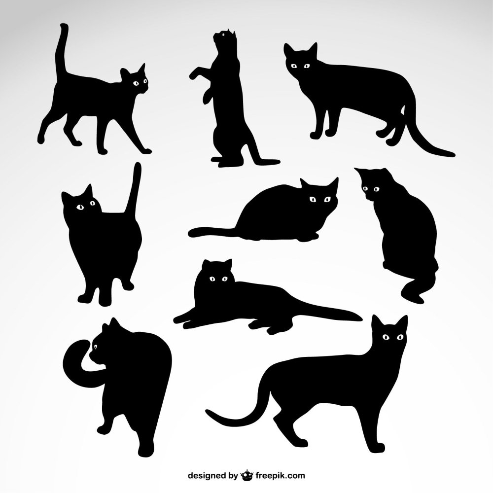 Черная кошка силуэт