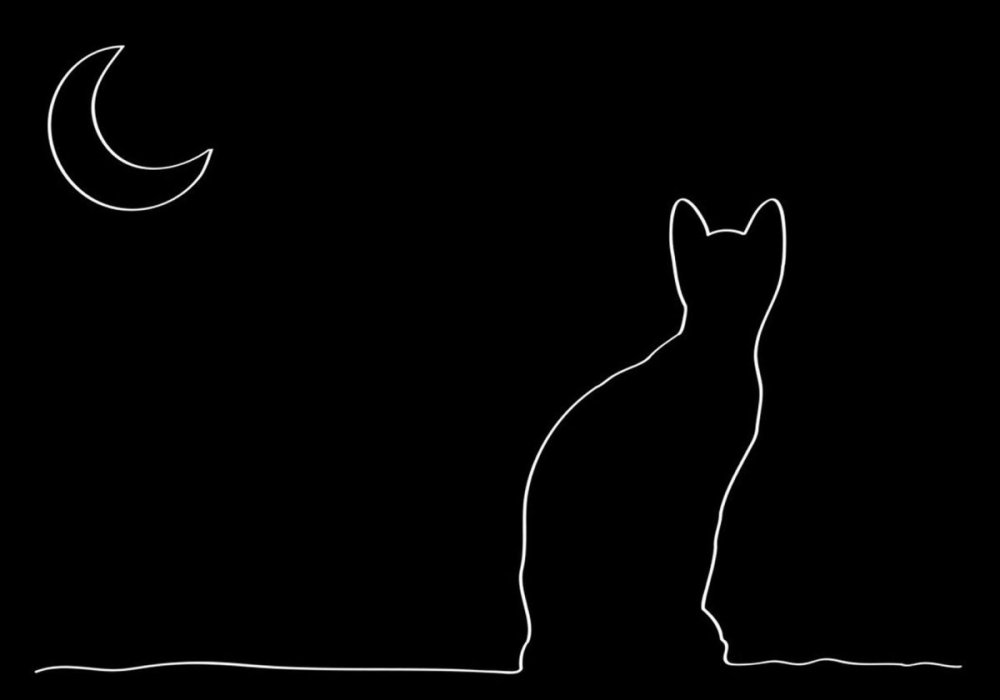 Силуэты котов и кошек