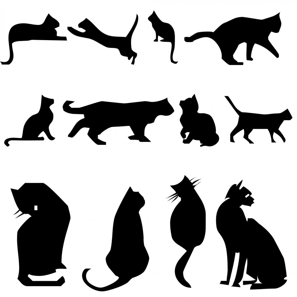 Силуэт двух кошек