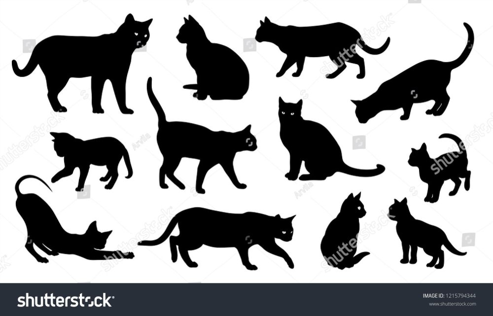 Кошачьи следы Графика