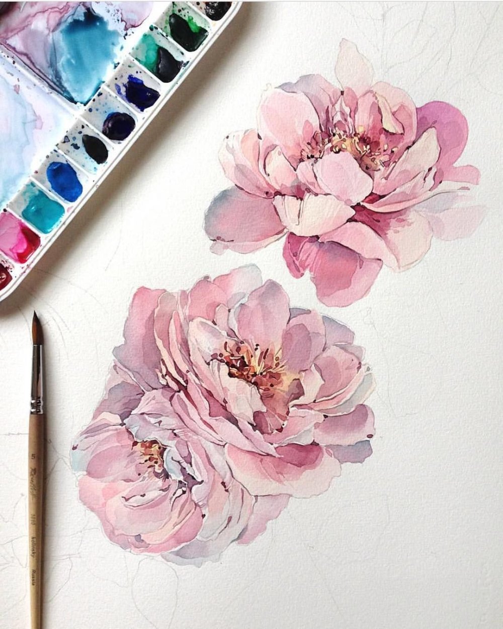 Цветы для рисования акварелью