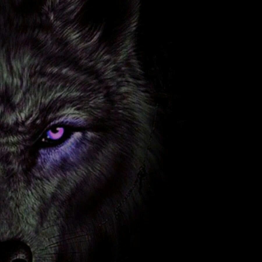 Волчьи глаза на черном фоне