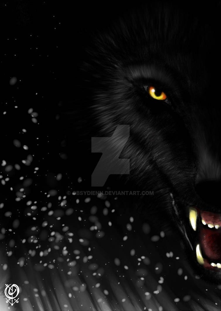 Волчьи глаза в темноте