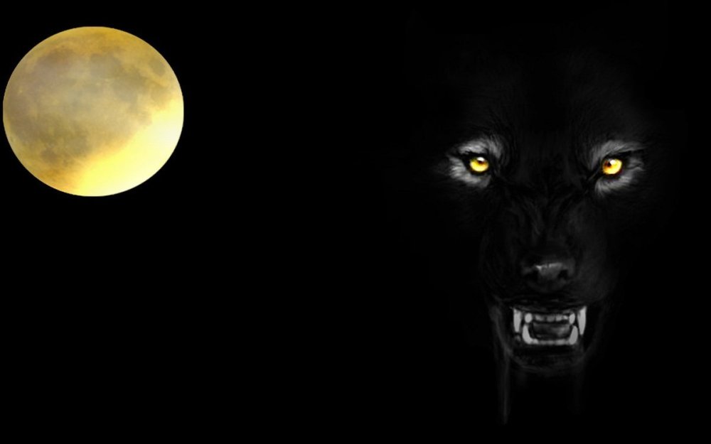 Глаза волка в темноте