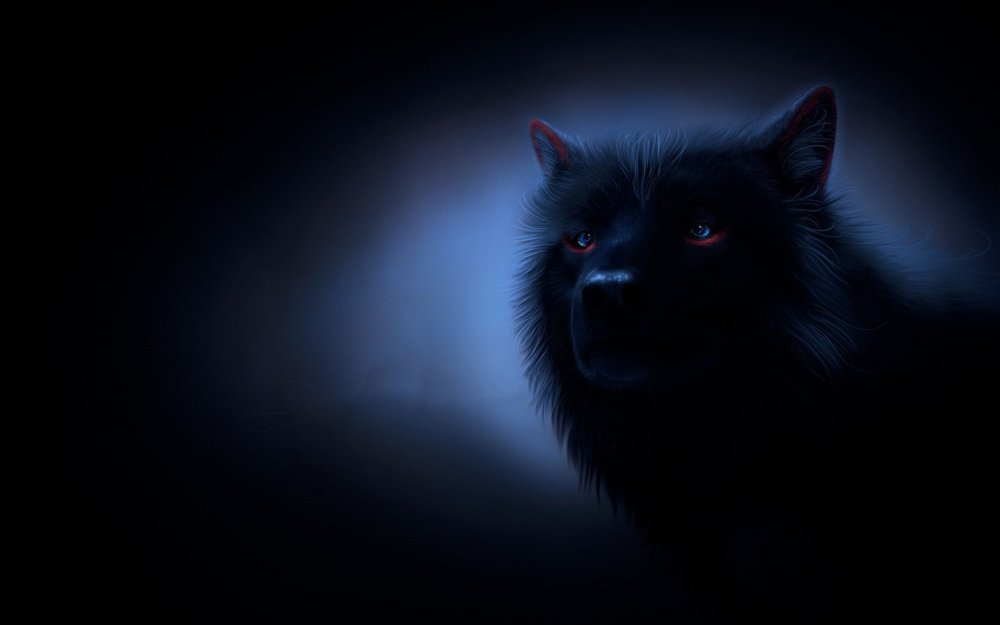 Черный волк с голубыми глазами