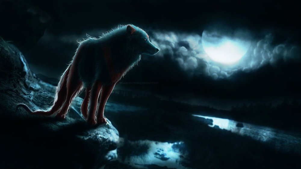 Волк в темноте