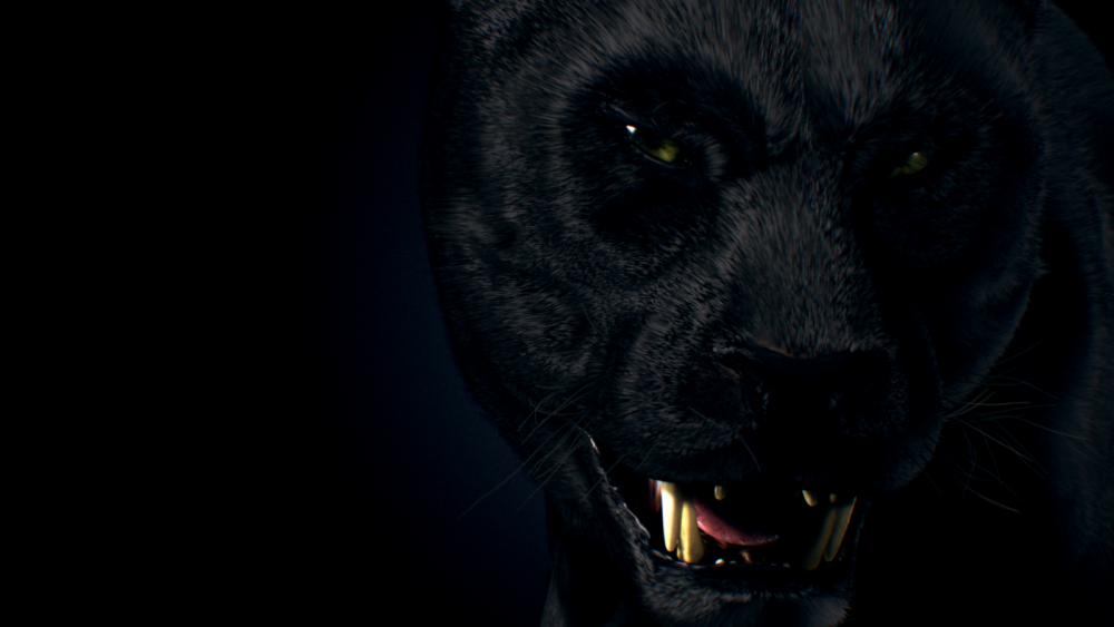 Волк на темном фоне