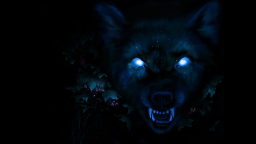 Глаза волка в темноте