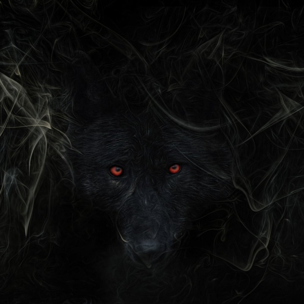 Красные глаза волка в темноте