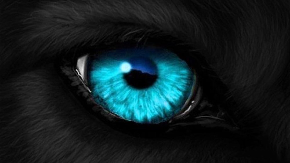 Оборотень на черном фоне