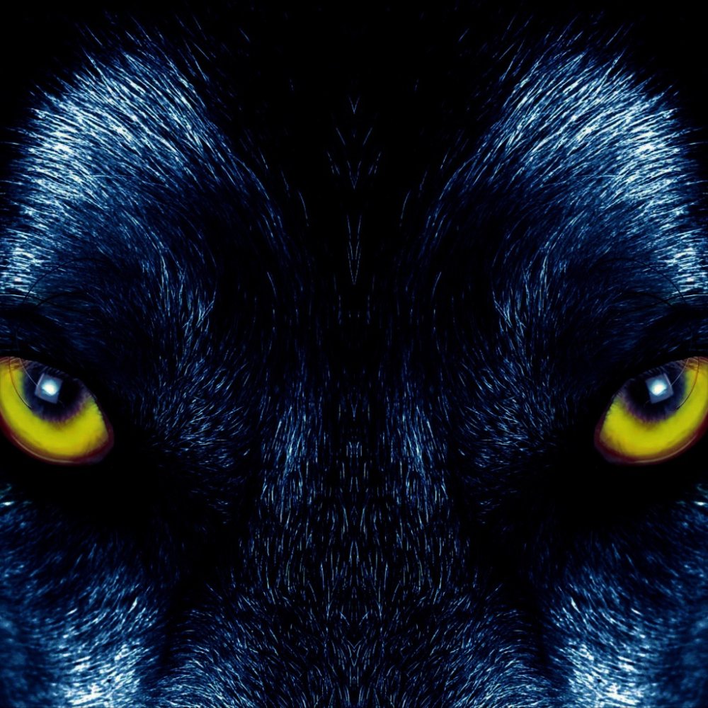 Глаза волка в ночи