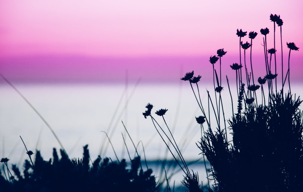 Тумблер природа