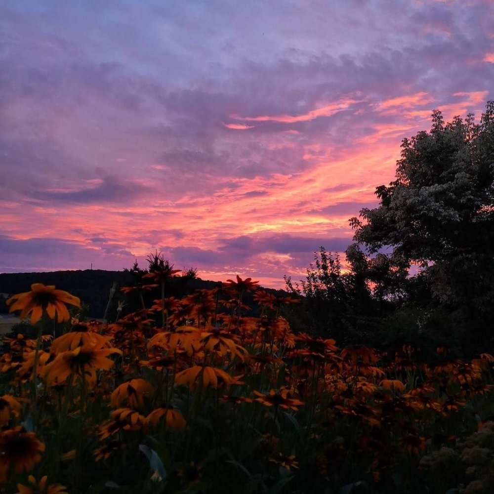 Закат Эстетика