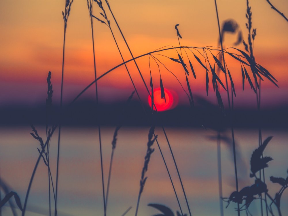 Рассвет Эстетика