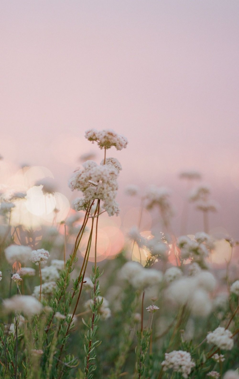 Пейзаж в пастельныхттонах