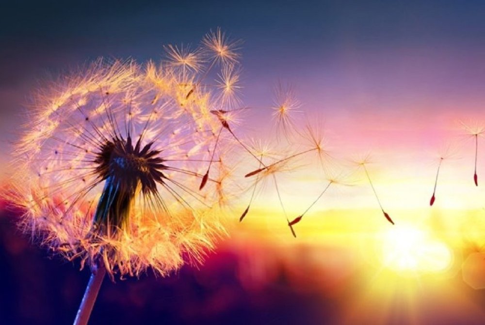 Телевизор Toshiba 55u7750ev 55"