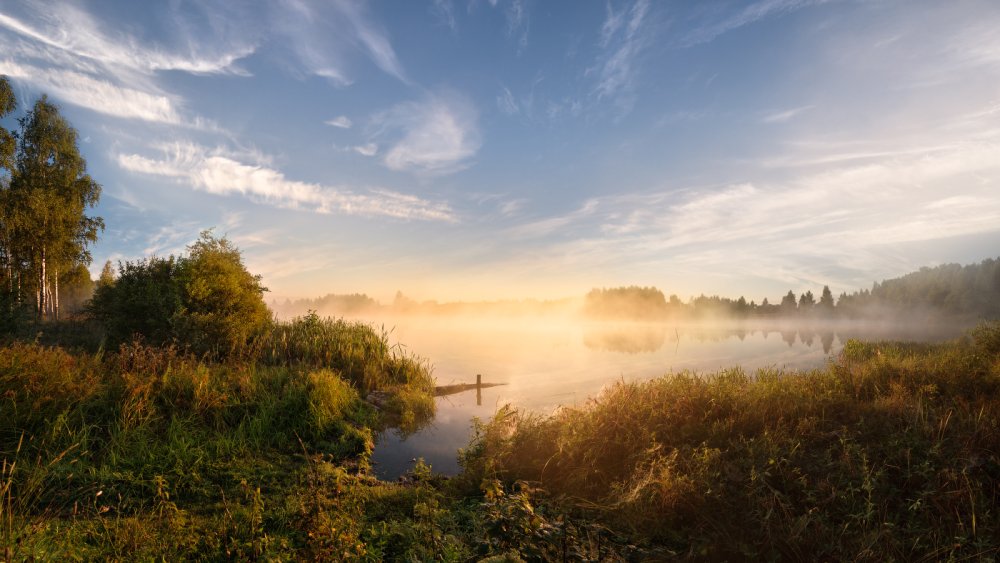 Виталий Полуэктов фотограф