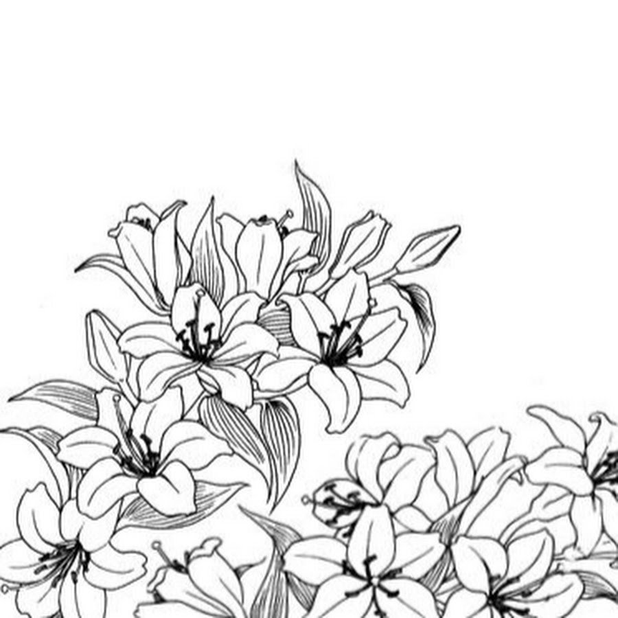 Цветочный принт графичный