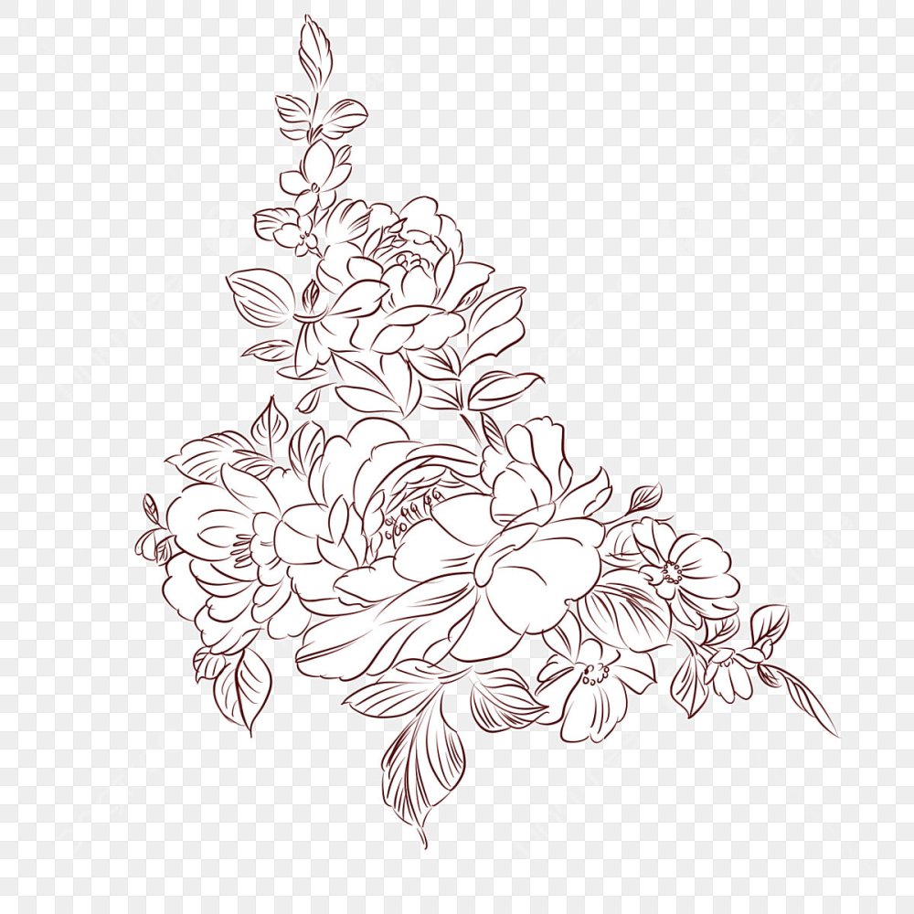 Раскраска полевые цветы на лугу