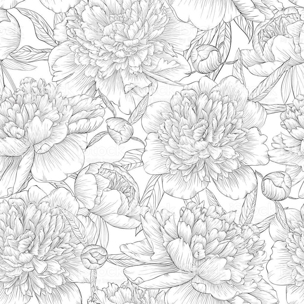 Пионы вектор паттерн