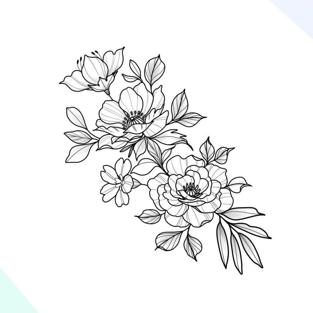 Роза контур