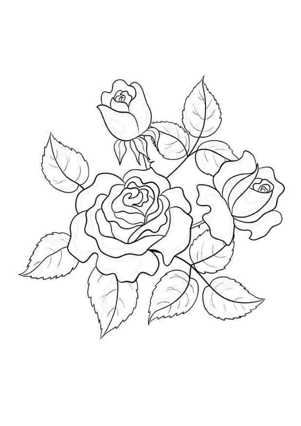 Ветка Сакуры черно белая