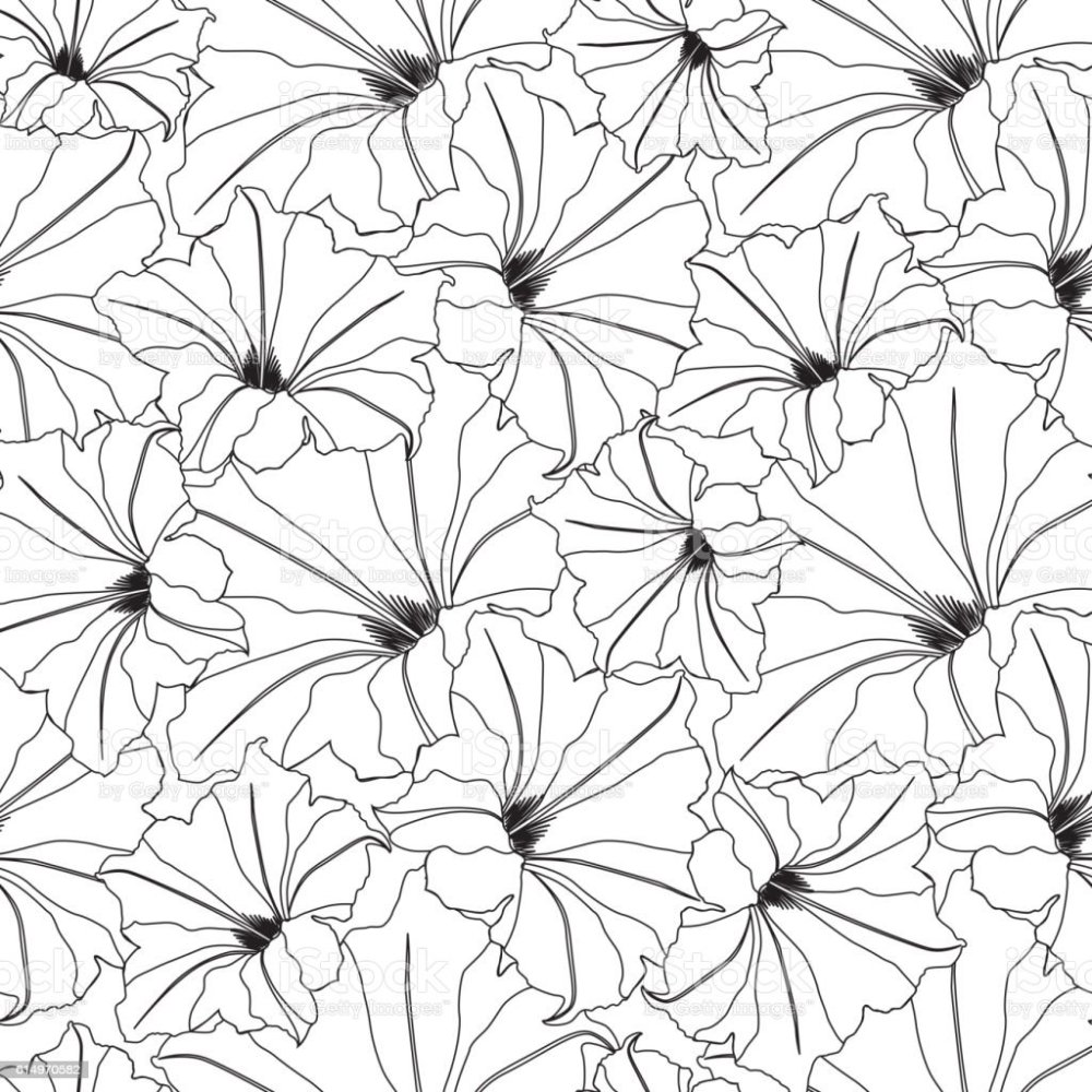 Обои контур цветов