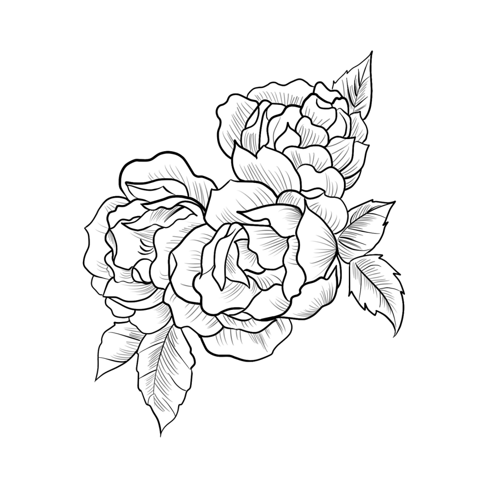 Контур цветка на прозрачном фоне