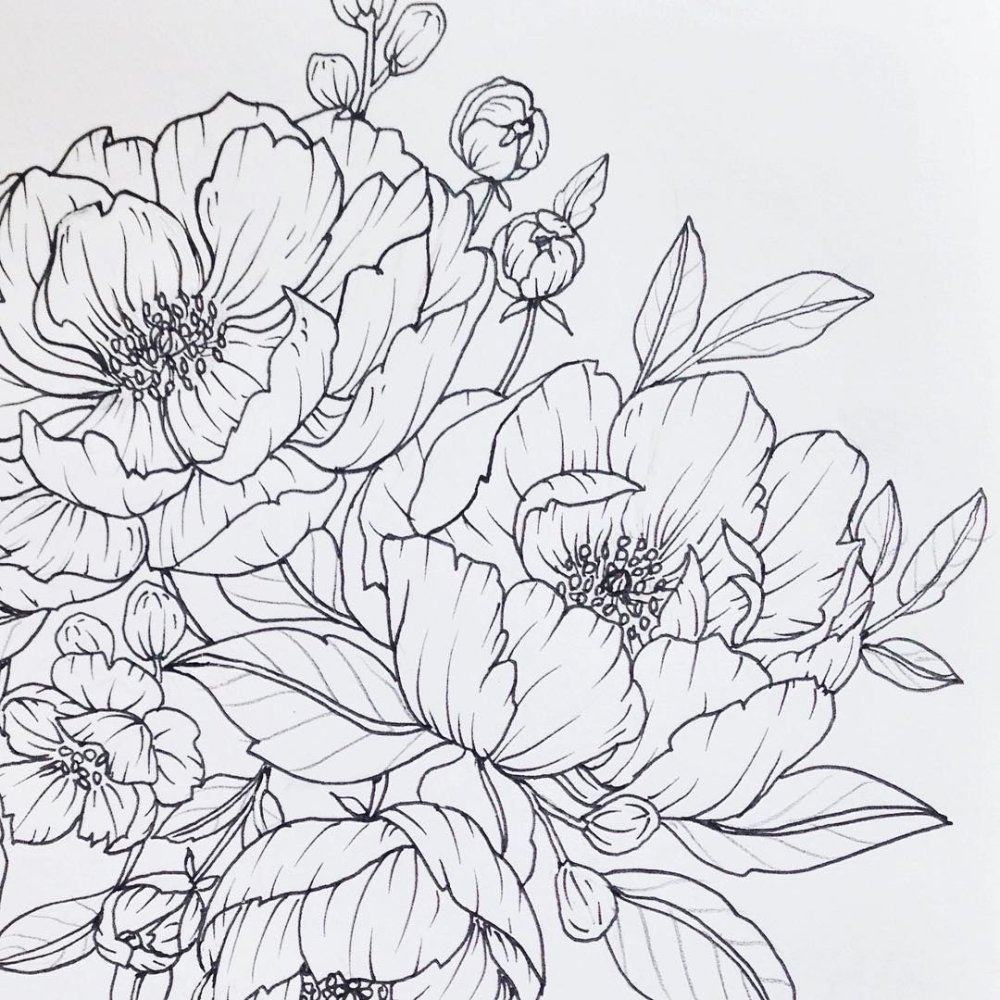 Контурные цветы эскиз