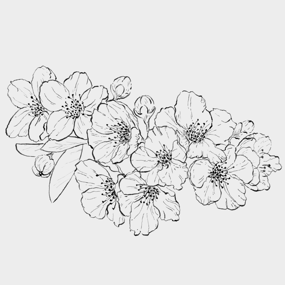 Цветы линиями