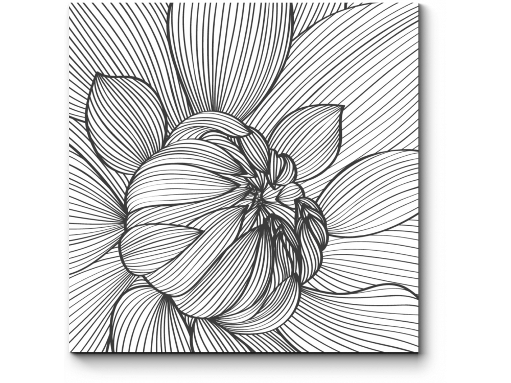 Поэтапное рисование пионов