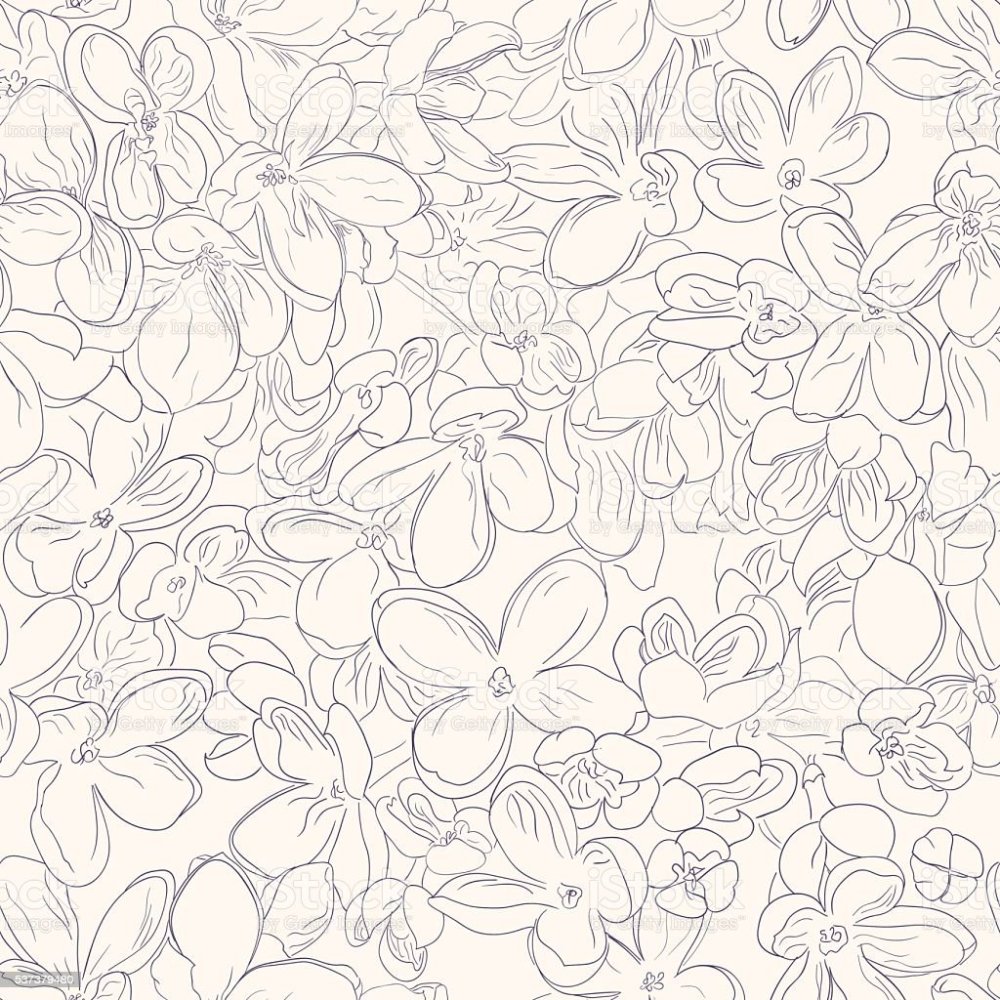 Ветка Сакуры