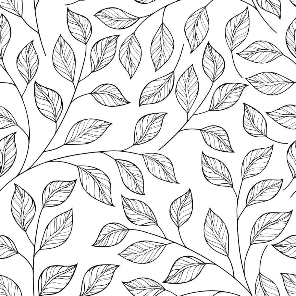 Контур цветов на прозрачном фоне